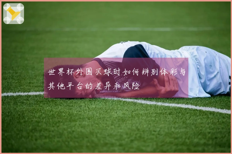 世界杯外围买球时如何辨别体彩与其他平台的差异和风险