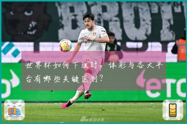 世界杯如何下注时，体彩与各大平台有哪些关键区别？