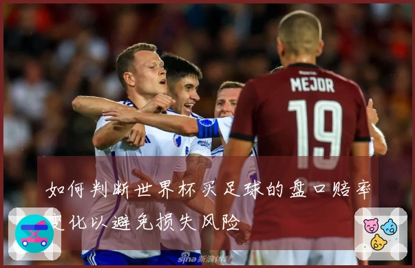 如何判断世界杯买足球的盘口赔率变化以避免损失风险