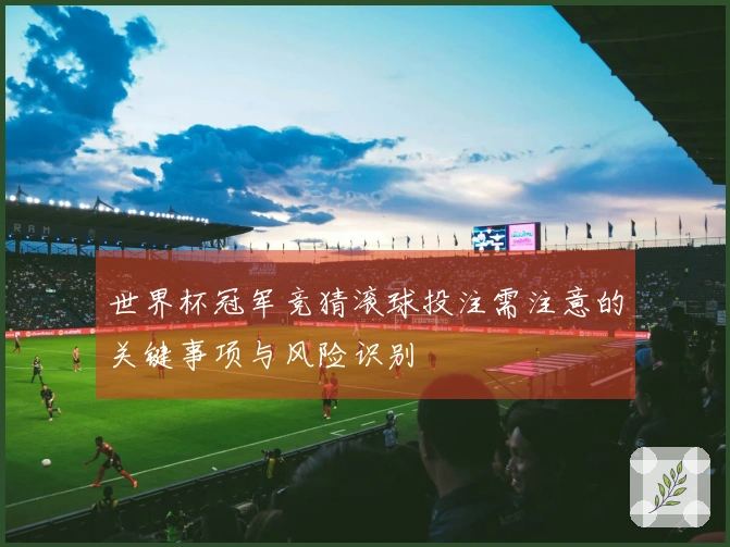 世界杯冠军竞猜滚球投注需注意的关键事项与风险识别