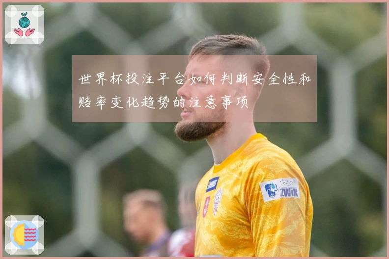 世界杯投注平台如何判断安全性和赔率变化趋势的注意事项