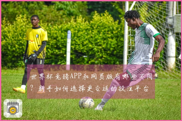 世界杯竞猜APP和网页版有哪些不同？新手如何选择更合适的投注平台？