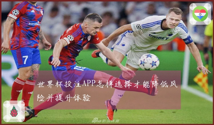 世界杯投注APP怎样选择才能降低风险并提升体验