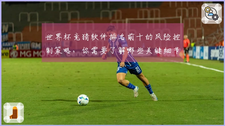 世界杯竞猜软件排名前十的风险控制策略，你需要了解哪些关键细节？