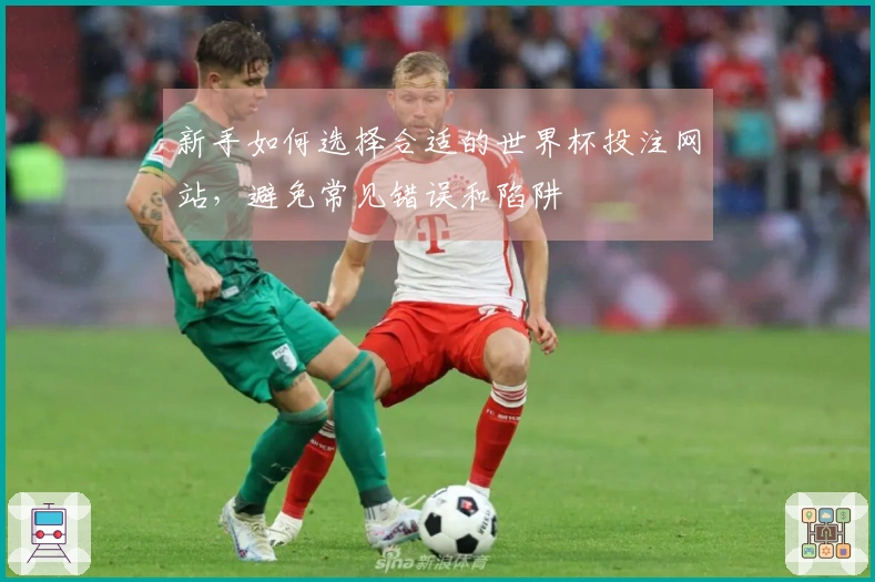 新手如何选择合适的世界杯投注网站，避免常见错误和陷阱