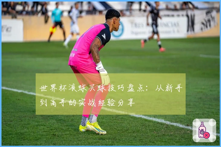 世界杯滚球买球技巧盘点：从新手到高手的实战经验分享