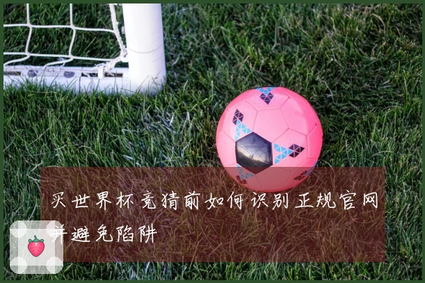 买世界杯竞猜前如何识别正规官网并避免陷阱