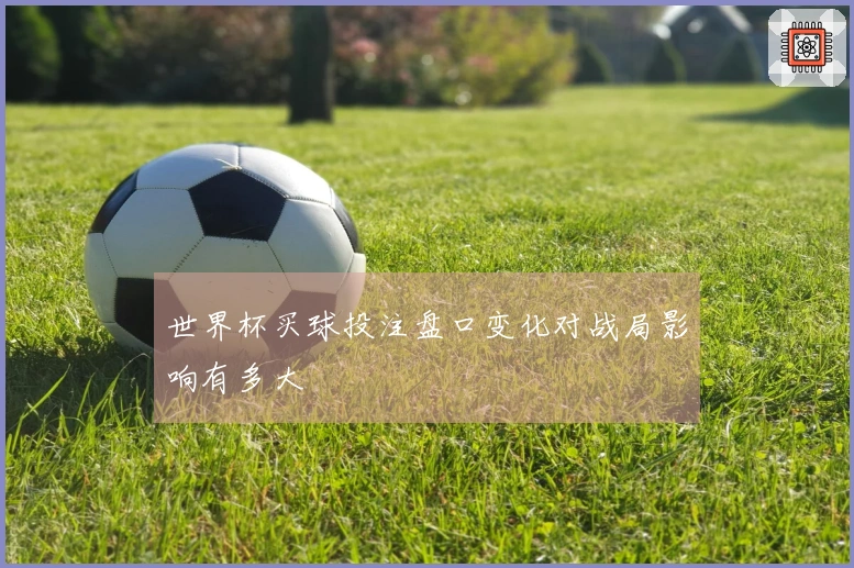 世界杯买球投注盘口变化对战局影响有多大