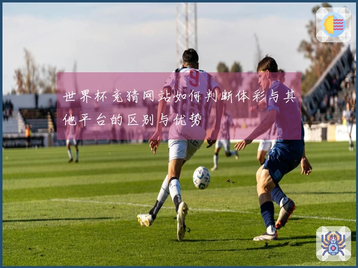 世界杯竞猜网站如何判断体彩与其他平台的区别与优势