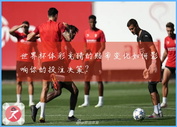 世界杯体彩竞猜的赔率变化如何影响你的投注决策？