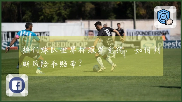 热门球队世界杯冠军竞猜，如何判断风险和赔率？