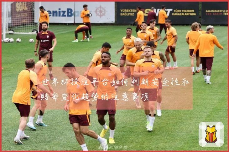 世界杯投注平台如何判断安全性和赔率变化趋势的注意事项