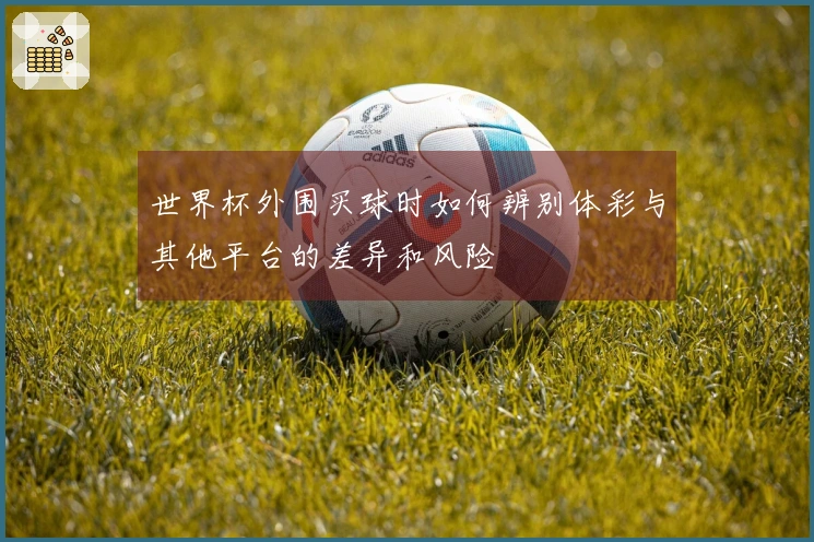 世界杯外围买球时如何辨别体彩与其他平台的差异和风险