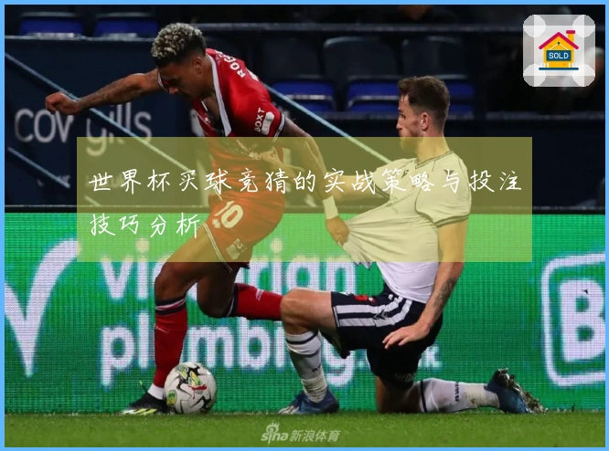 世界杯买球竞猜的实战策略与投注技巧分析