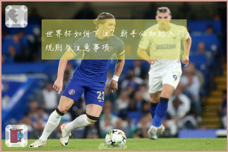 世界杯如何下注？新手必知的入门规则与注意事项