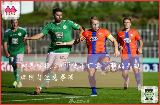 世界杯投注APP使用前需了解的关键规则与注意事项