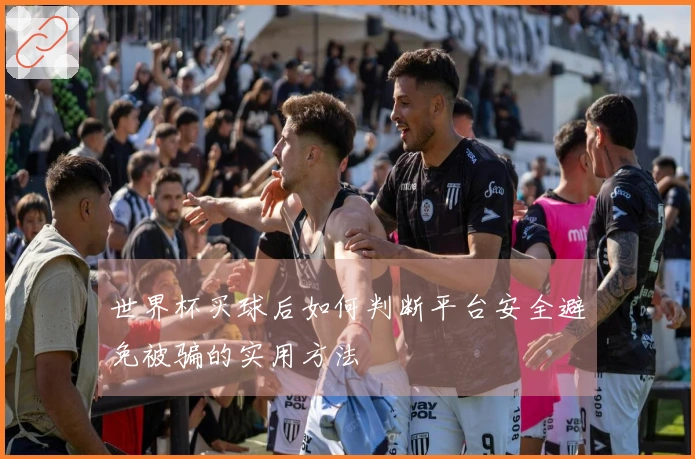 世界杯买球后如何判断平台安全避免被骗的实用方法