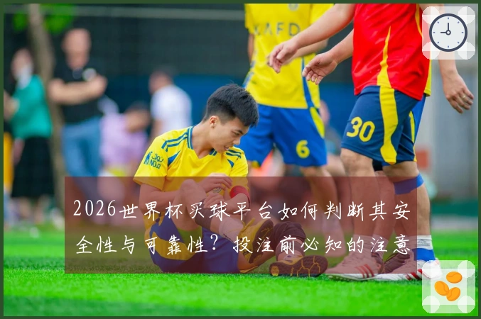 2026世界杯买球平台如何判断其安全性与可靠性？投注前必知的注意事项