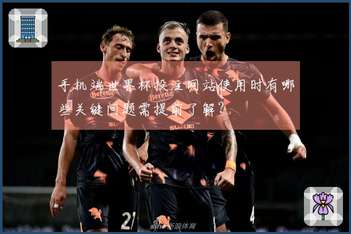 手机端世界杯投注网站使用时有哪些关键问题需提前了解？