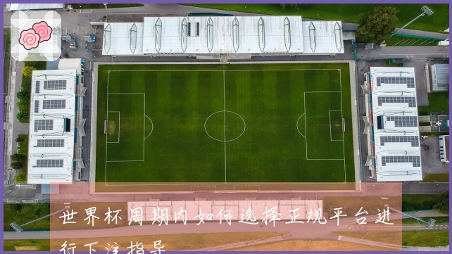 世界杯周期内如何选择正规平台进行下注指导