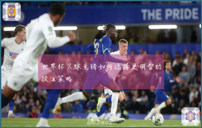 世界杯买球竞猜如何选择更明智的投注策略