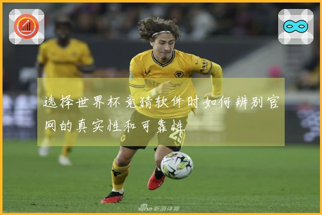 选择世界杯竞猜软件时如何辨别官网的真实性和可靠性