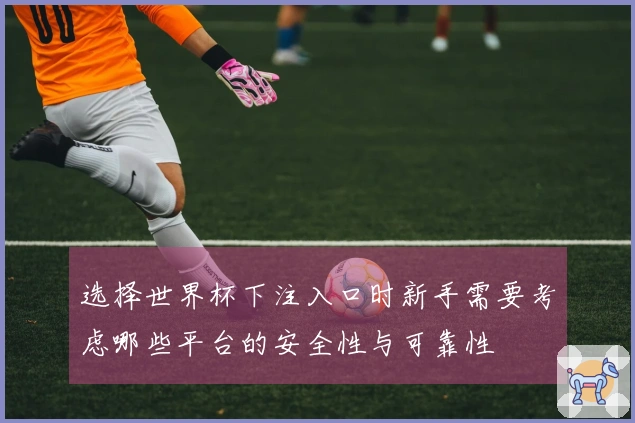 选择世界杯下注入口时新手需要考虑哪些平台的安全性与可靠性