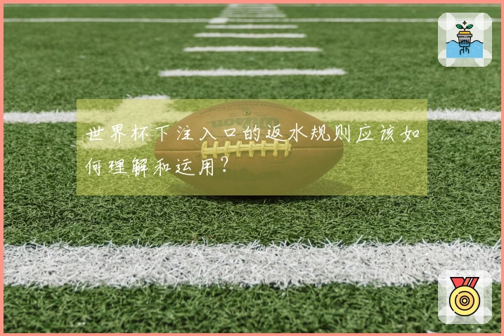 世界杯下注入口的返水规则应该如何理解和运用？