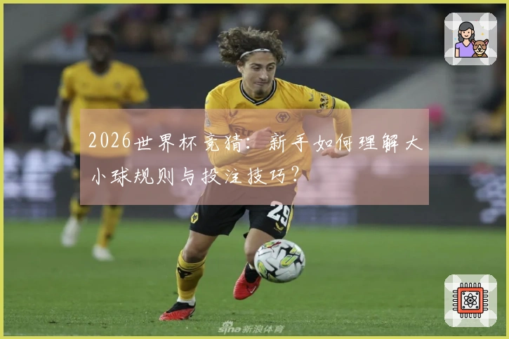 2026世界杯竞猜：新手如何理解大小球规则与投注技巧？