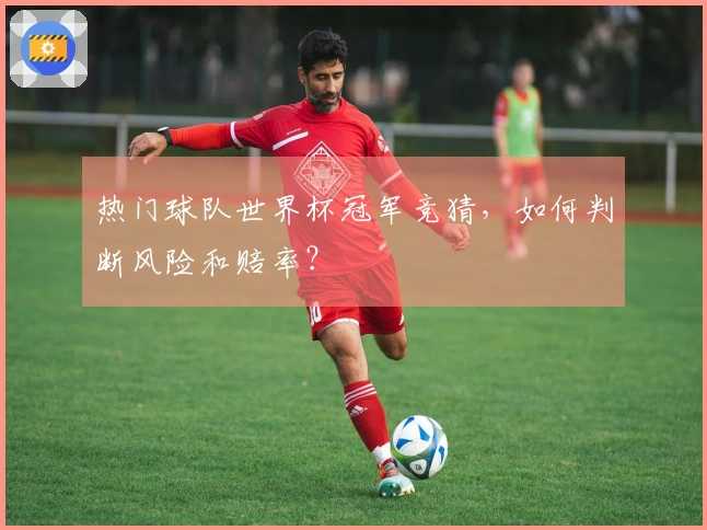 热门球队世界杯冠军竞猜，如何判断风险和赔率？