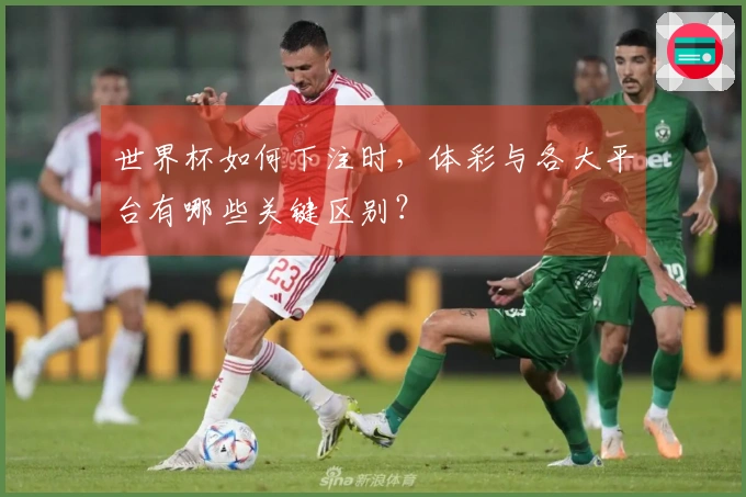 世界杯如何下注时，体彩与各大平台有哪些关键区别？