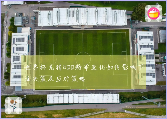 世界杯竞猜app赔率变化如何影响下注决策及应对策略