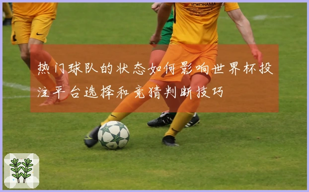 热门球队的状态如何影响世界杯投注平台选择和竞猜判断技巧
