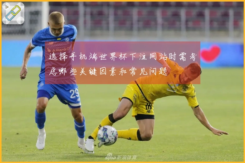 选择手机端世界杯下注网站时需考虑哪些关键因素和常见问题