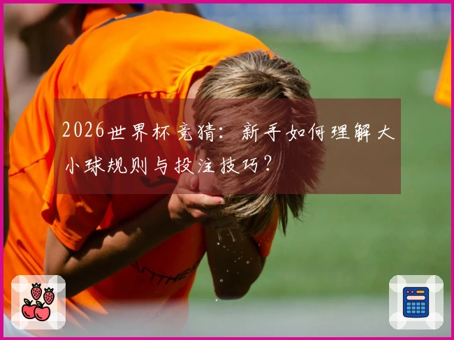 2026世界杯竞猜：新手如何理解大小球规则与投注技巧？