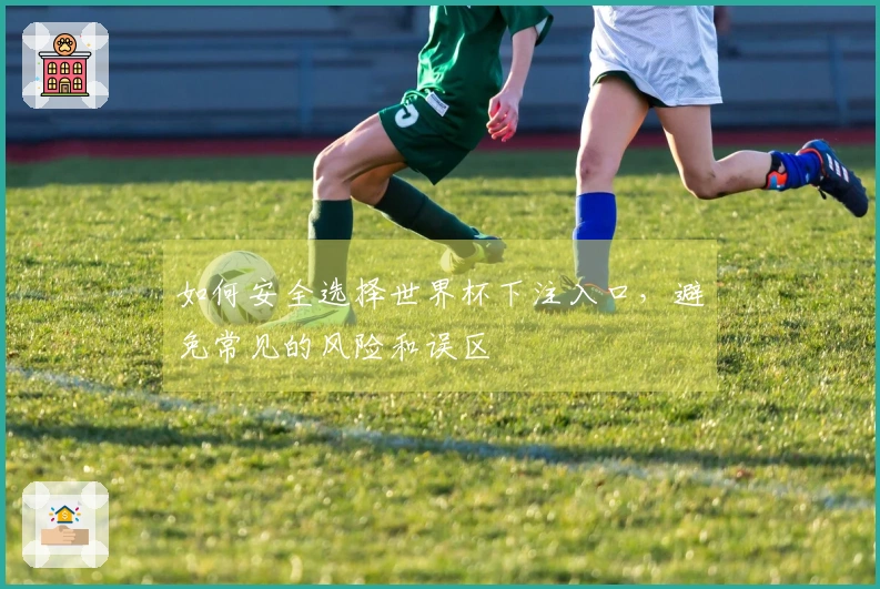如何安全选择世界杯下注入口，避免常见的风险和误区