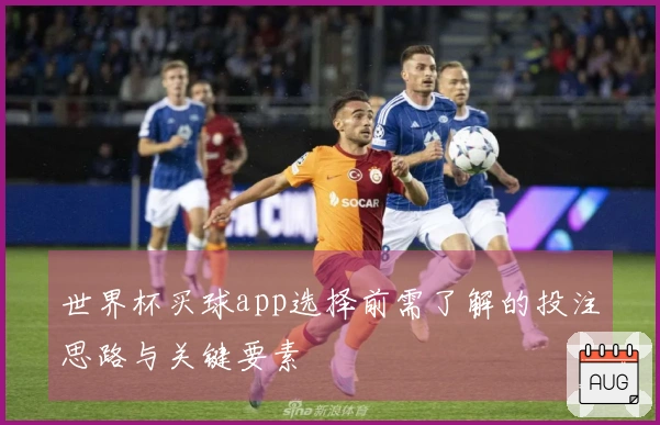 世界杯买球app选择前需了解的投注思路与关键要素