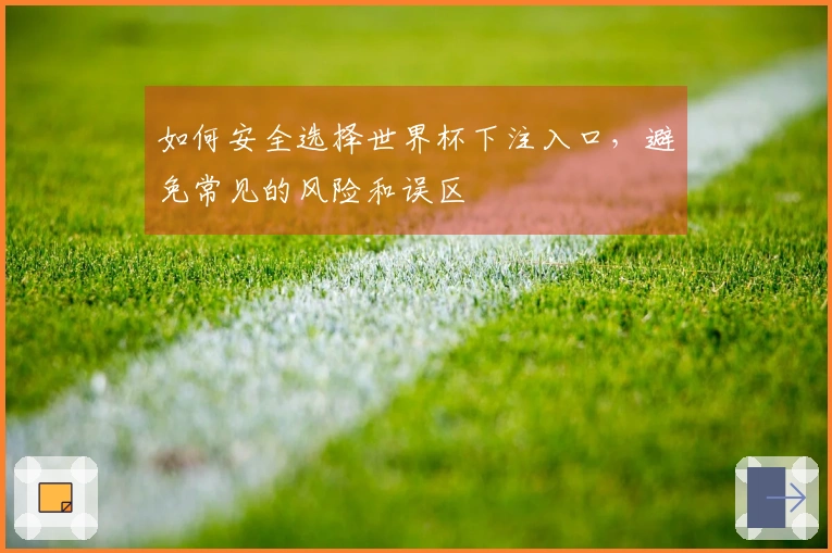 如何安全选择世界杯下注入口，避免常见的风险和误区
