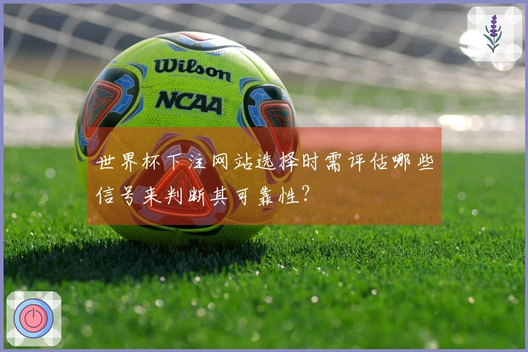 世界杯下注网站选择时需评估哪些信号来判断其可靠性？