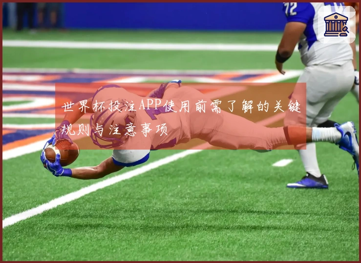 世界杯投注APP使用前需了解的关键规则与注意事项