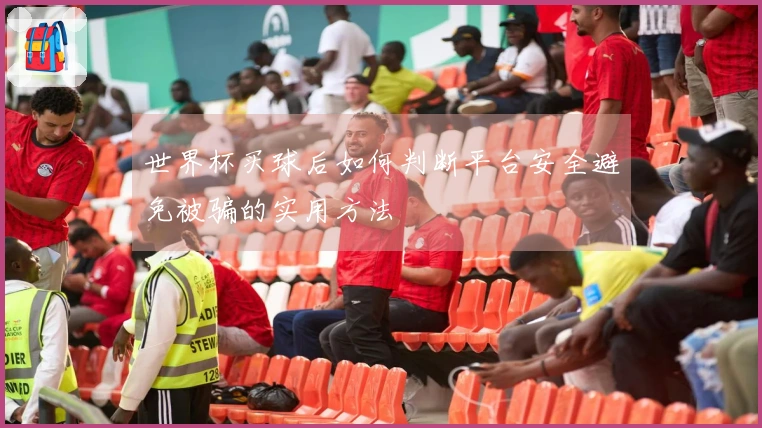 世界杯买球后如何判断平台安全避免被骗的实用方法